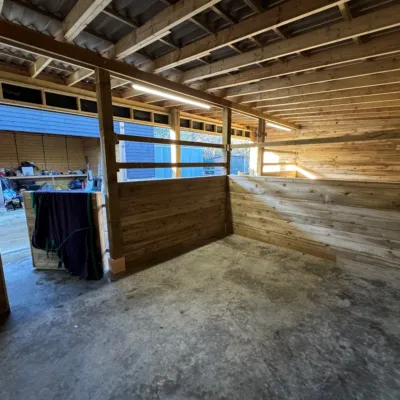 Gallery Photo 8