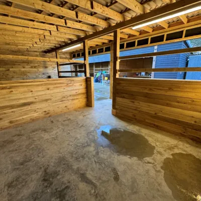 Gallery Photo 7