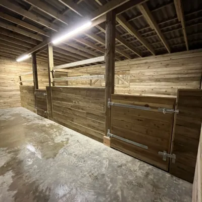 Gallery Photo 15